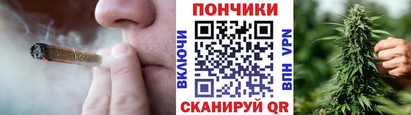 Галлюциногенные грибы Гай