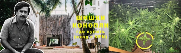 spice Волосово