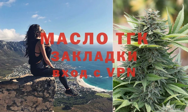 прущие грибы Козельск